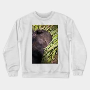 Sleeping Wolf Pup Crewneck Sweatshirt